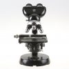 Zeiss Junior Mikroskop