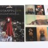 Buch / Rotkäppchen & Meine Geschichte mit Fay