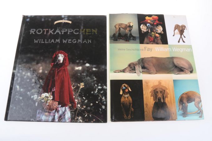 Buch / Rotkäppchen & Meine Geschichte mit Fay