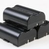 Nikon EN-EL3 Original Akkus (3 Stück)