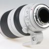 Canon EF 100-400mm f/4,5-5,6 L IS II USM - #2300006789 – Bild 4
