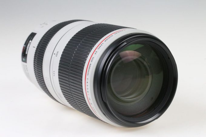 Canon EF 100-400mm f/4,5-5,6 L IS II USM - #2300006789 – Bild 6