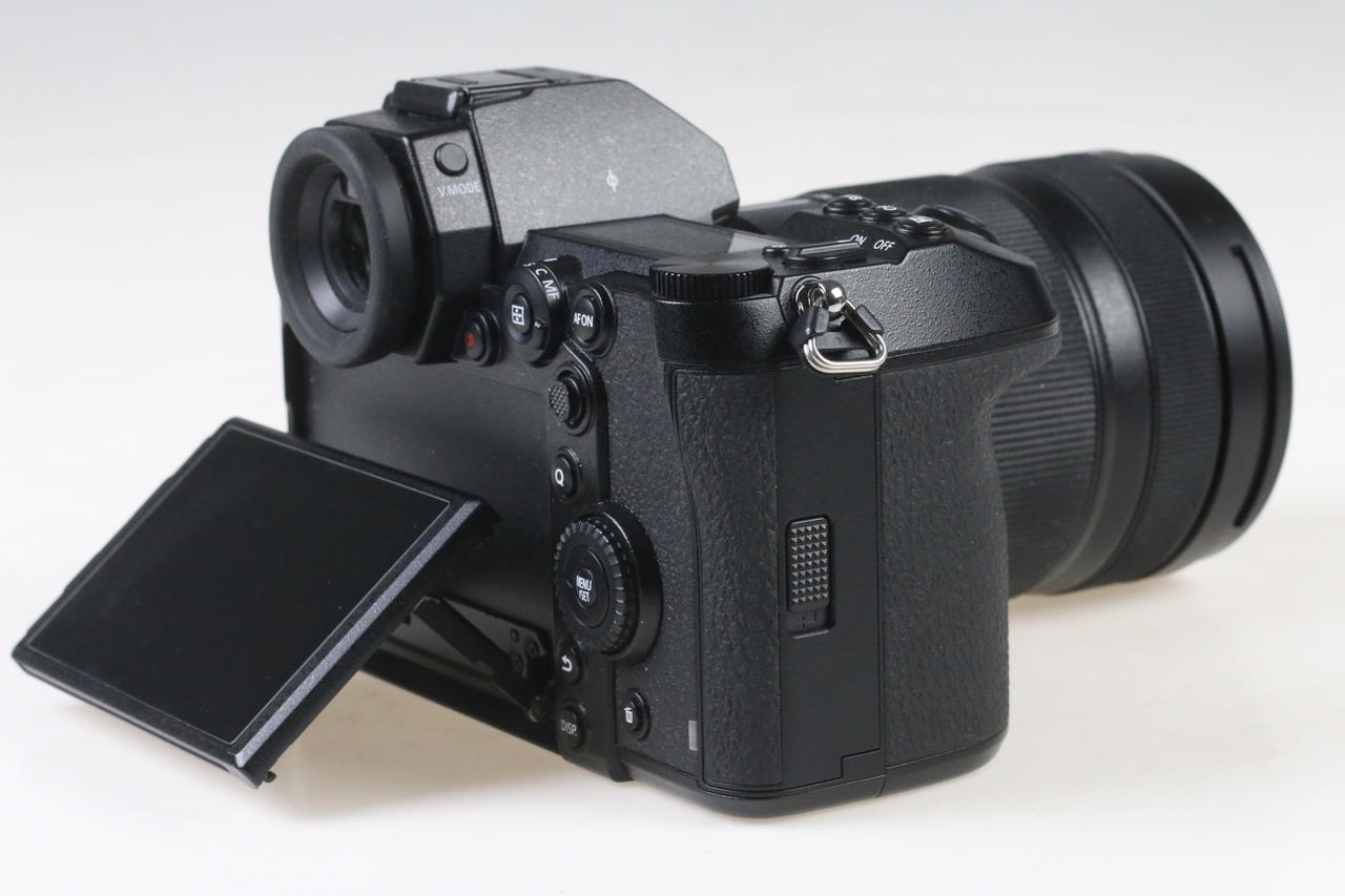 Panasonic S1R mit Lumix S 24-105 f/4,0 Macro OIS - #001110 - Image 6