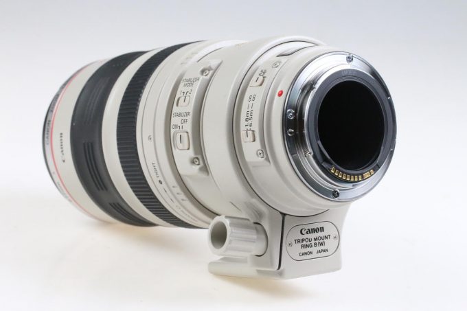 Canon EF 100-400mm f/4,5-5,6 L IS USM - #359586