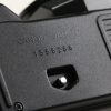 Canon T50 Body - #1556268 - Image 6
