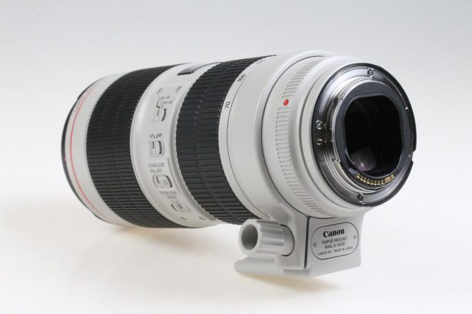 Canon EF 70-200mm f/2,8 L IS III USM - #7000011171