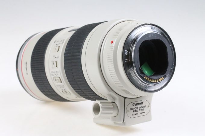 Canon EF 70-200mm f/2,8 L IS USM - #355970