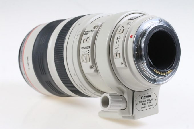 Canon EF 100-400mm f/4,5-5,6 L IS USM - #252421