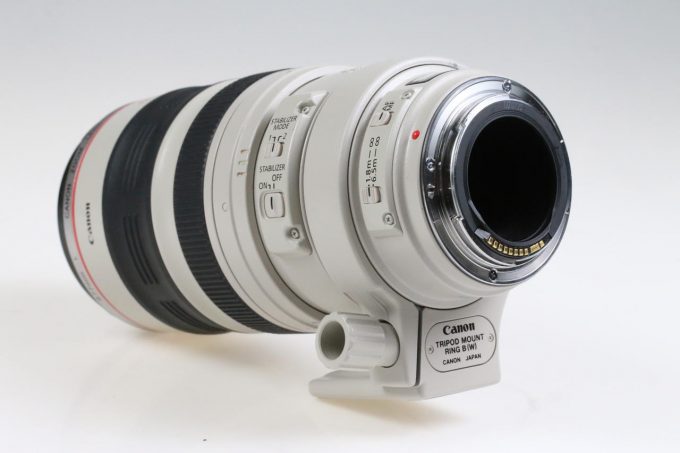 Canon EF 100-400mm f/4,5-5,6 L IS USM - #533711