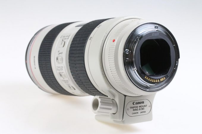 Canon EF 70-200mm f/2,8 L IS USM - #275571