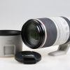 Canon RF 100-500mm f/4,5-7,1 L IS USM - #2514003373