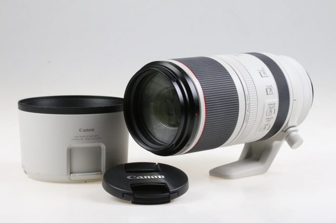 Canon RF 100-500mm f/4,5-7,1 L IS USM - #2514003373