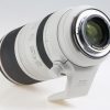 Canon RF 100-500mm f/4,5-7,1 L IS USM - #2514003373