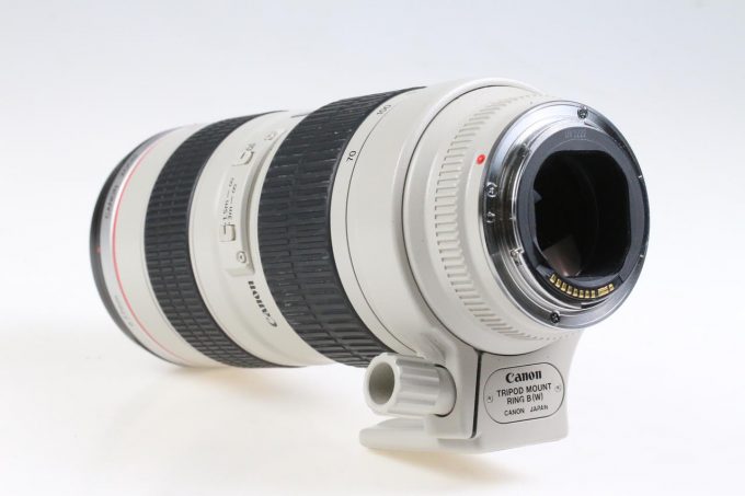 Canon EF 70-200mm f/2,8 L USM - #220585