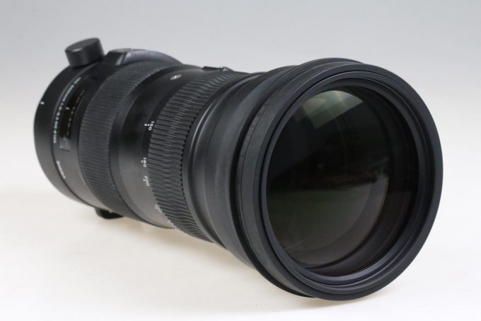 Sigma 150-600mm f/5,0-6,3 DG OS HSM Sport für Canon EF - #51242074 - Image 6