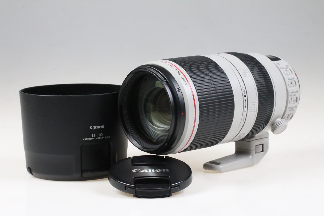 Canon EF 100-400mm f/4,5-5,6 L IS II USM - #4810003262 - Image 2