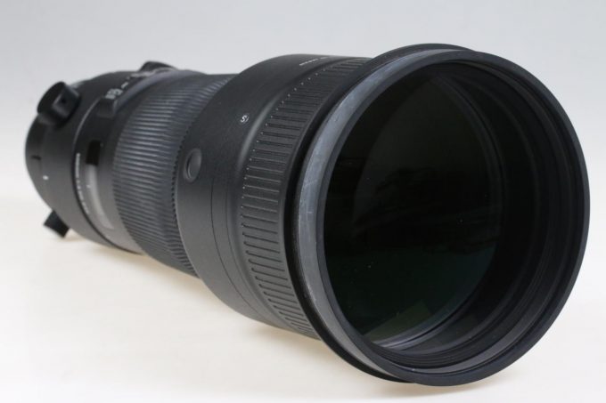 Sigma 500mm f/4,0 DG OS HSM für Canon EF - #51989481