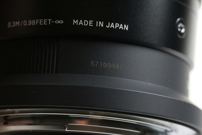 Sigma 30mm f/1,4 EX DC HSM für Nikon Z Mount Demo - #57100441 - Image 6