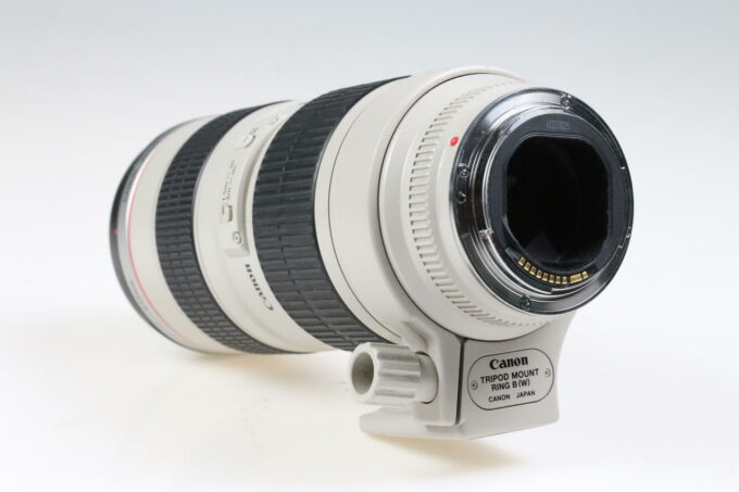 Canon EF 70-200mm f/2,8 L USM - #378155