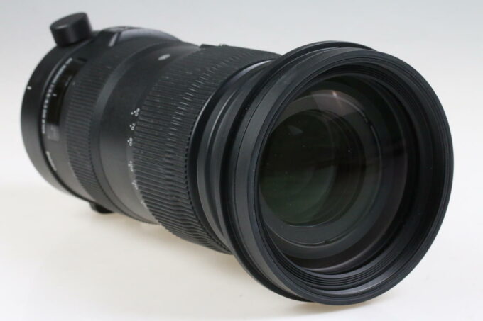 Sigma 60-600mm f/4,5-6,3 DG OS HSM Sport für Nikon AF - #30045884 - Image 6