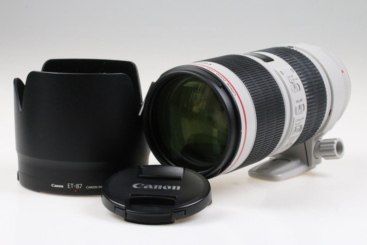 Canon EF 70-200mm f/2,8 L IS III USM - #7910003227 - Image 2
