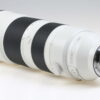 Sony FE 200-600mm f/5,6-6,3 - #1810275