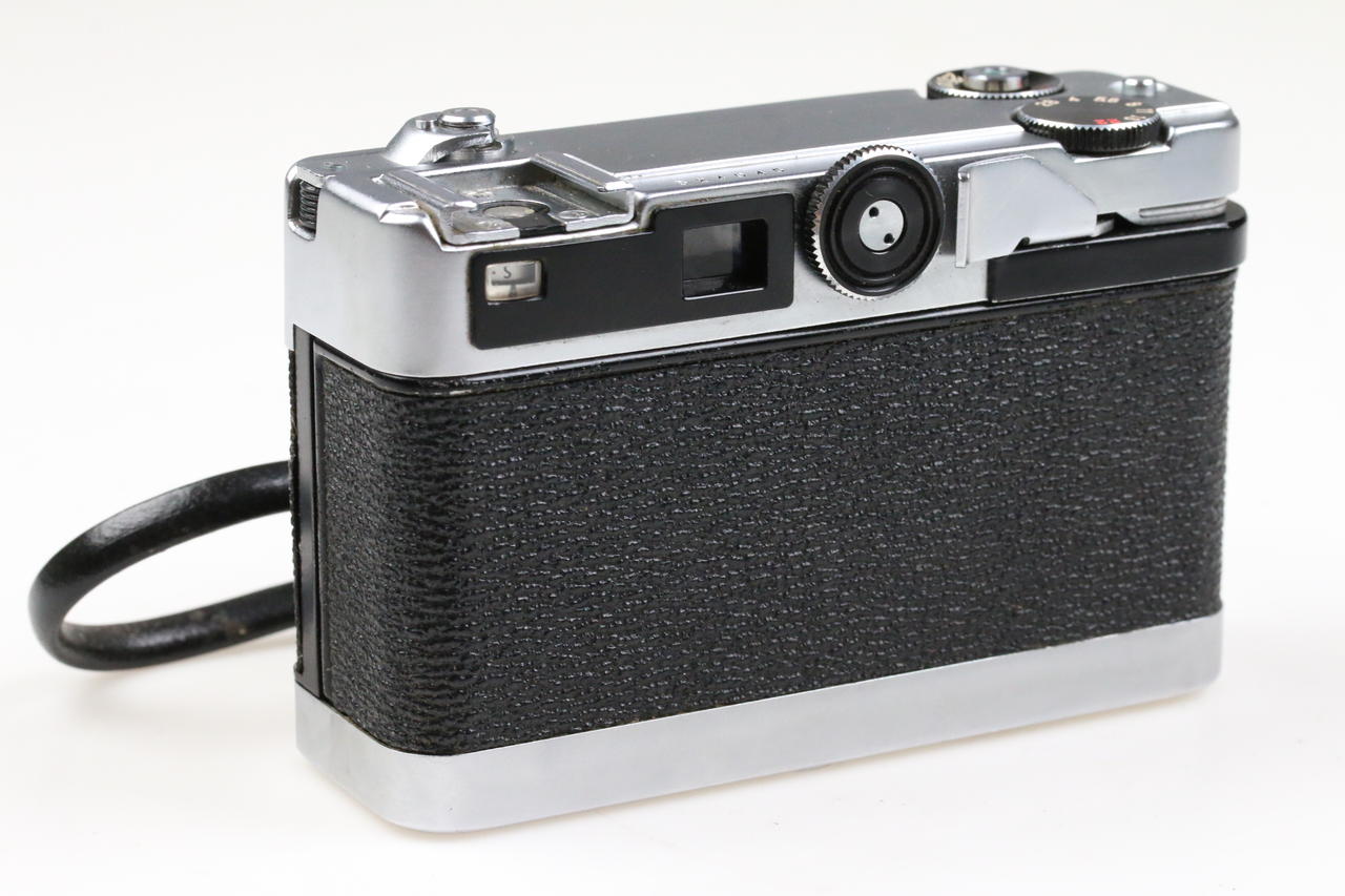 Petri Color 35 - #524046 - Image 4