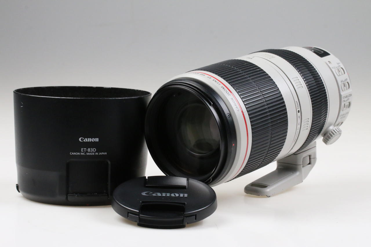 Canon EF 100-400mm f/4,5-5,6 L IS II USM - #7130001060