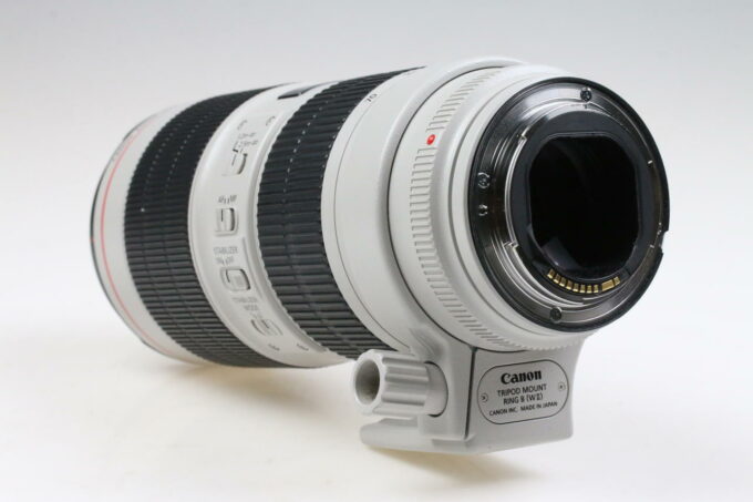 Canon EF 70-200mm f/2,8 L IS III USM - #7910003235