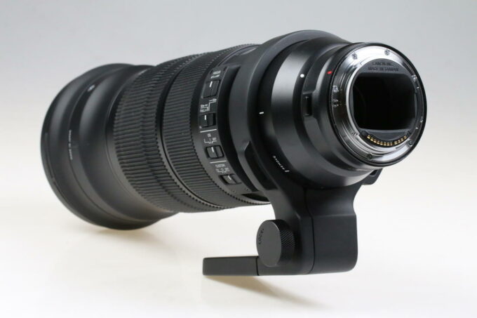 Sigma 120-300mm f/2,8 DG OS HSM Sports für EF mit EOS R Adapter - #56246730