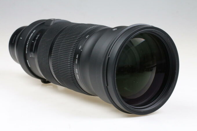 Sigma 120-300mm f/2,8 DG OS HSM Sports für EF mit EOS R Adapter - #56246730