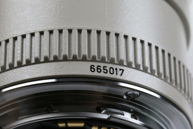 Canon EF 70-200mm f/4,0 L USM - #665017