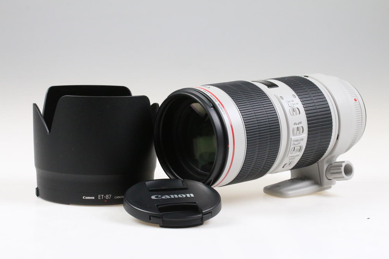 Canon EF 70-200mm f/2,8 L IS III USM - #6800006445 - Image 2
