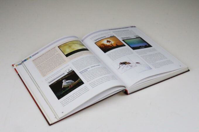 Buch - Canon EOS 7D Das Profi Handbuch