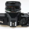 Yashica FX-3 mit ML 50mm f/1,9 - #1146566 - Image 3