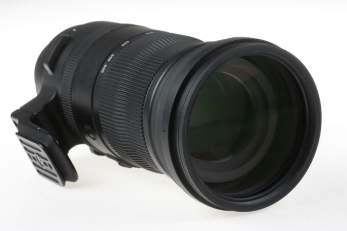 Sigma 150-600mm f/5,0-6,3 DG DN OS Sports für Sony E - #56024743 - Image 6