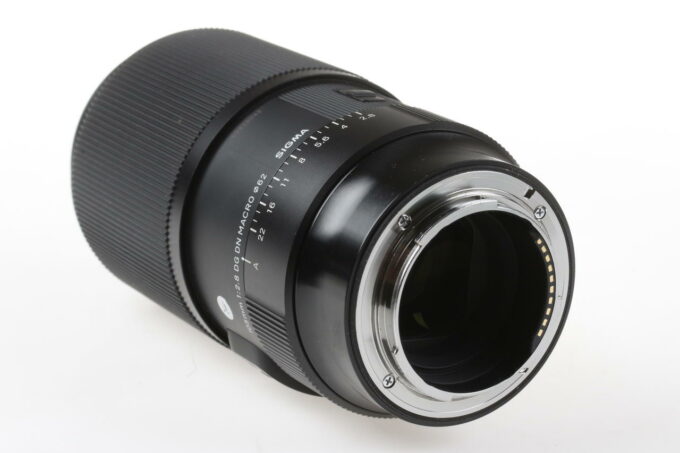 Sigma 105mm f/2,8 DG DN Macro für Sony E - #55330042