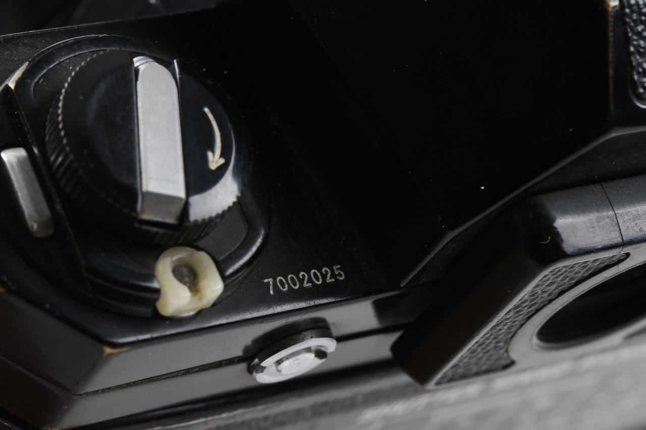 Nikon F2 Photomic mit Nikkor 50mm f/1,4 und F36 - #7002025 - Image 7