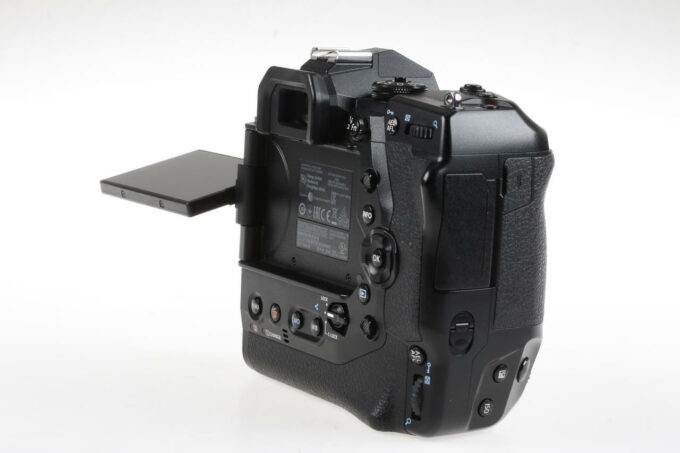 Olympus E-M1X - #BJ4A14583 - Image 6