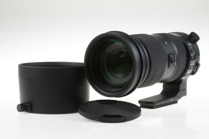 Sigma 60-600mm f/4,5-6,3 DG OS HSM Sport für Nikon AF - #56771387