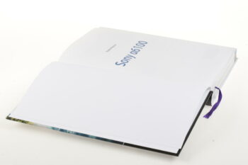 Sony Buch Alpha 6100 von Bildner