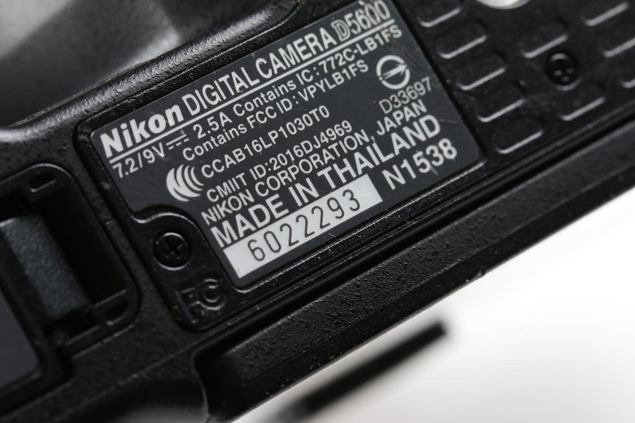 Nikon D5600 mit AF-P Nikkor 18-55mm 3,5-5,6 VR - #6022293