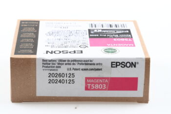 Epson T5809 Ligth Light Black Tinte für Stylus Pro 3800