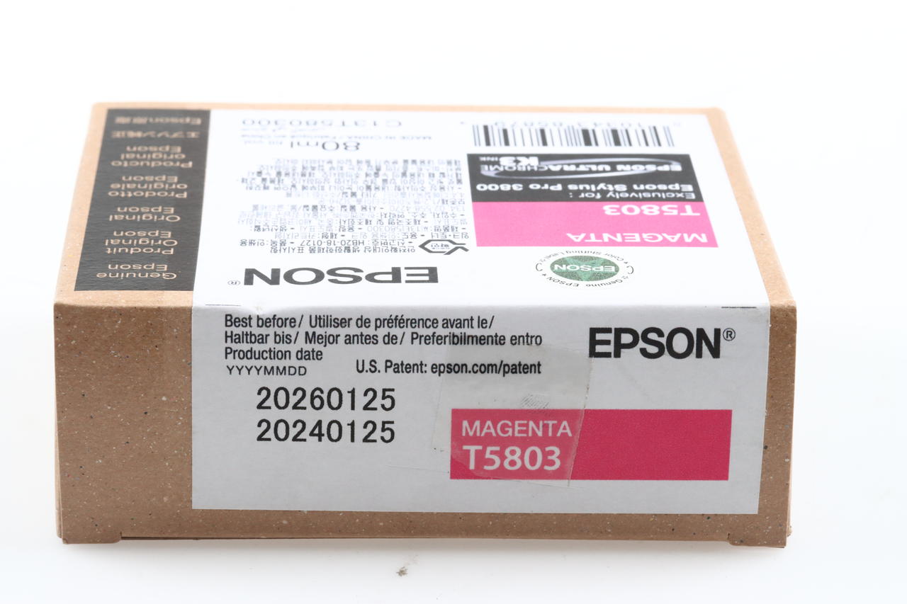 Epson T5809 Ligth Light Black Tinte für Stylus Pro 3800