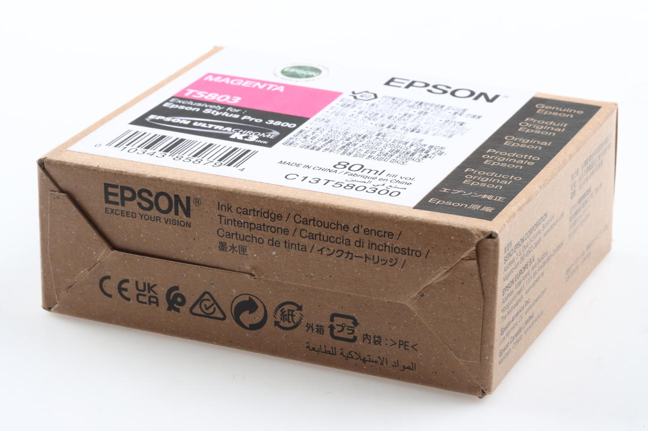 Epson T5809 Ligth Light Black Tinte für Stylus Pro 3800