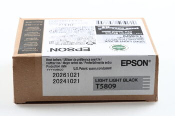 Epson T5809 Light Light Black für Stylus Pro 3800