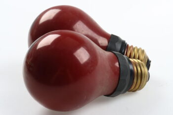 Philips Dunkelkammer - Glühbirne PF712E 15W E27 rot - 2 Stück