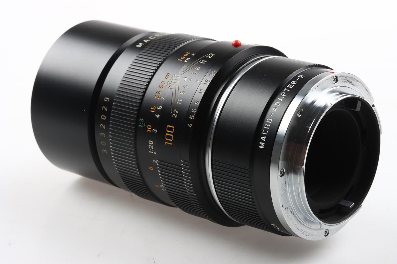 Leica Macro - Elmar R 100mm f/4,0 mit Zwischenring 14256 - #3032029