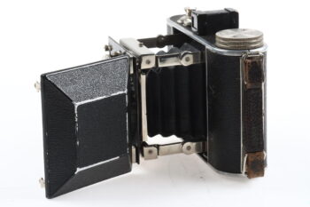 Kochmann Korelle 6x6cm - #1313969